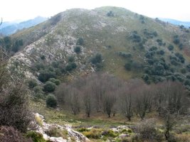 Mendebaldeko isurialdea