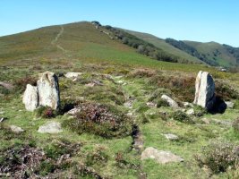 Olegi aldeko estazio megalitikoa