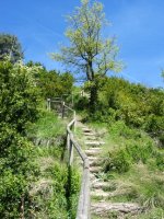 Igoera Htik, eskilara, baranda eta guzti