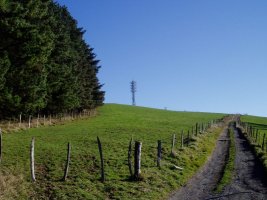 Elosuko mendatetik ikusita