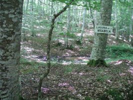 "La Nibasela" zingira