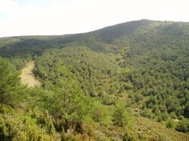 Ortxikasko desde Landakoa