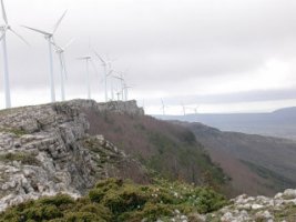 Paisaje e?lico del monte