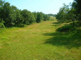 Dejamos atr?s el pueblo de Luxo.
