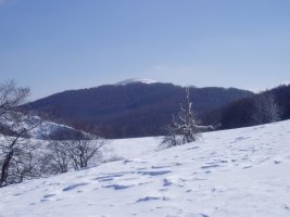 Iparraldetik ikusita