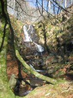 Cascada del r?o Ultzama