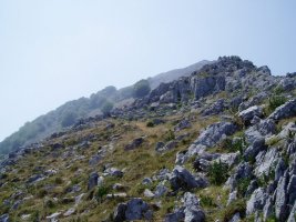 Oraietako lepoaren ingurutik gora begira