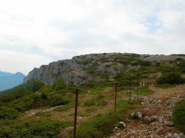 Seguimos paralelos a la valla.