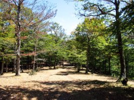 Sabiaundi inguruak (HMko hegia)