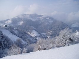 Ipar-ekialdetik ikusita