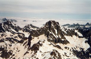 Frondellatik ikusita