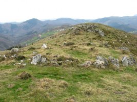 Beste mairubaratza bat