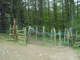 Entre Jarindo y Albertia