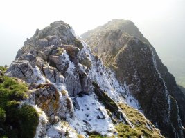 Mendebaldeko gandorra tontorretik ikusita