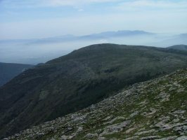 FLOR MENDIA UMIONETIK IKUSITA