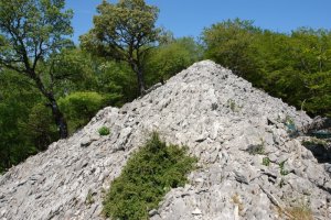 Lapar: HEko bizkarra