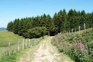 Orexa aldetik datorren bidea