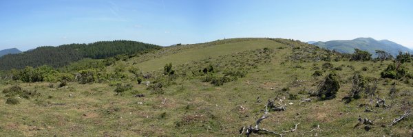 Tontorra hegoaldetik ikusita