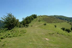 Uniateko HMko bizkarra