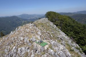 Tontorre mendebaldera begira