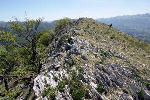 Tontorra mendebaldetik