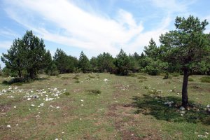 Bi tontorren arteko bidea