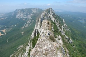 Mendebaldeko gandorra