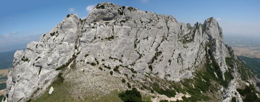 Mendebaldeko gandorra