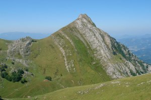 Muitze aldeko isurialdea