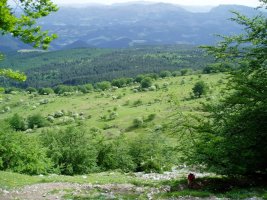 Atxulotik kanpokaldera begira
