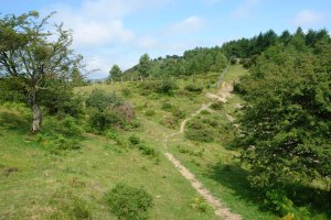 Samiño eta Izazpe arteko bidea