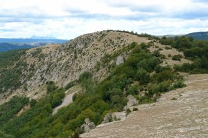 Larraiza, Azantza aldetik ikusita