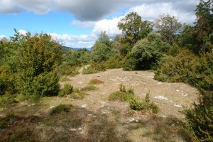 Tontorraren inguruak