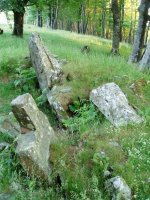 Intsusburuko trikuharria