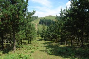 Garagoiti, Akondia aldeko bidetik