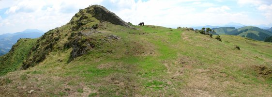 Tontorra mendebaldetik