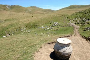 Norabide mahaia, Alotza aldean