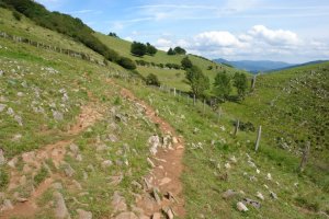 Gurutzera datorren bidea