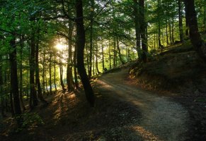 Egunsentia San Adriango abiapuntuan