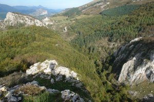 Urkulu errekako haitzartea, haitzaren oinean