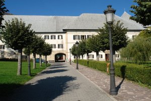 Orreagako kolegiatarako sarbidea