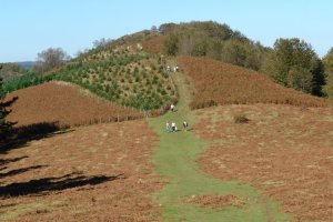 Ekialdeko bizkarreko bidea