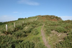 Larrazu: igoerako bidea, hegoaldeko bizkarrean gora