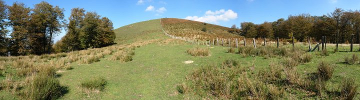 Tontorra hegoaldetik