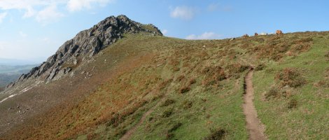 Iparrekialdetik ikusita