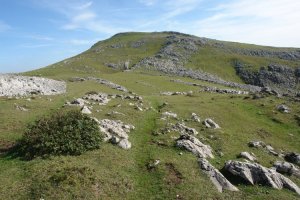 Mendebaldeko isurialdea