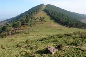 Suebakia, Zorroztarri gainetik ikusita
