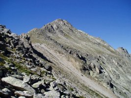 Tontorra Dellui lepotik ikusita