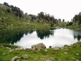 Long aintziraren ertza