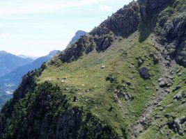 Tormosako erlaitzeko bidea